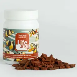 Buy Life AAYU Tropical Loaches, loach sinking pellets, kuhli loach food, clown loach diet, bottom feeder fish food India, tropical loach pellets, spirulina sinking pellets, hillstream loach food, botia fish diet, aquariumproductsindia fish food