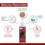Buy Sunken Garden Red fertilizer, aquarium red plant fertilizer India, iron fertilizer for red plants, planted tank red booster, high-iron aquarium fertilizer, liquid fertilizer for red aquatic plants, Rotala red enhancer, Ludwigia colour booster, Alternanthera nutrient supplement, planted tank micronutrient India, aquarium plant colour enhancer
