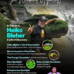 Buy The Weekend Aquarist - August 2025 Edition magazine