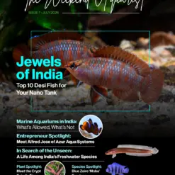 Buy The Weekend Aquarist - July 2025 Edition magazine
