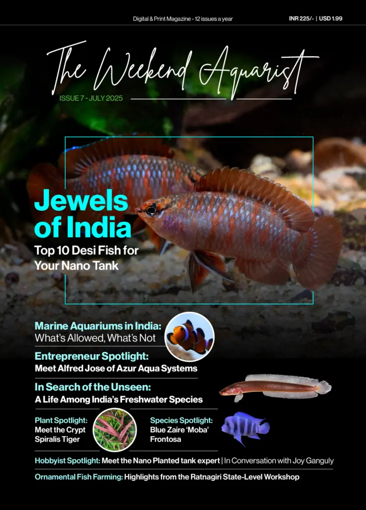 Buy The Weekend Aquarist - July 2025 Edition magazine