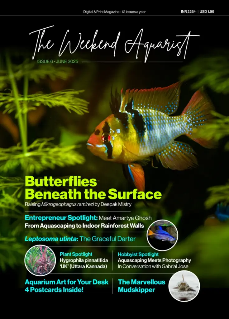 Buy The Weekend Aquarist - June 2025 Edition magazine