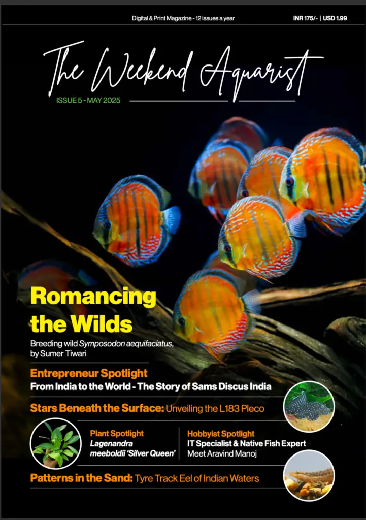 Buy The Weekend Aquarist - May 2025 Edition magazine