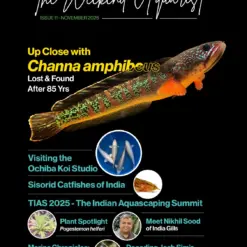 Buy The Weekend Aquarist - November 2025 Edition magazine