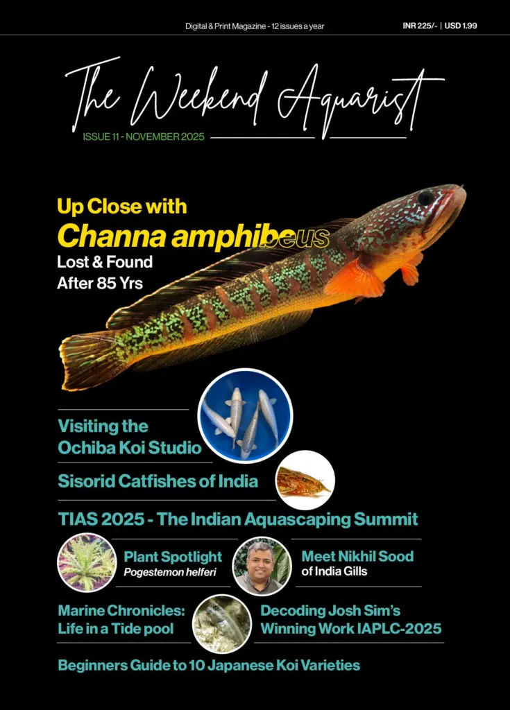 Buy The Weekend Aquarist - November 2025 Edition magazine