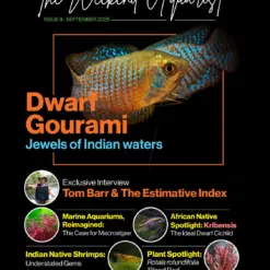Buy The Weekend Aquarist - September 2025 Edition magazine
