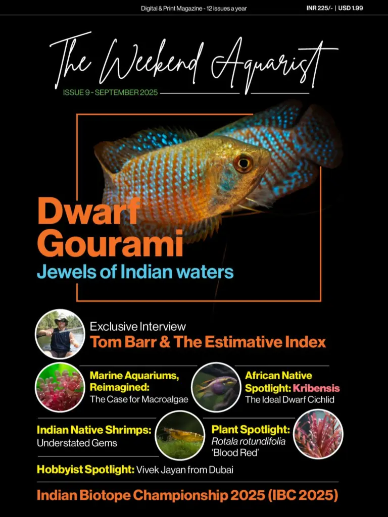 Buy The Weekend Aquarist - September 2025 Edition magazine