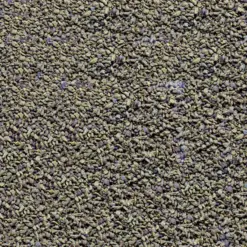 Buy Dennerle Cichlid Veggy Feed, Dennerle Cichlif Veggy 200ml, vegetable cichlid food, herbivorous cichlid feed India, plant based cichlid food, slow sinking cichlid granules, African cichlid veg food, aquarium fish food for cichlids, premium cichlid feed India, low waste aquarium fish food