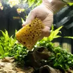 Buy Cleanator aquarium cleaner, Dennerle Cleanator, aquarium glass cleaner tool, manual algae cleaner aquarium, freshwater aquarium cleaning tool, aquarium maintenance cleaner, chemical free aquarium cleaning, aquarium surface cleaner