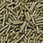 Buy Dennerle Shrimp King Complete Feed, Shrimp King Complete, Dennerle shrimp food sticks, staple food for freshwater dwarf shrimp, shrimp food 100% natural ingredients, sinkable water stable shrimp food, shrimp king complete feeding recommendation, shrimp pellets sticks for aquarium shrimp, Dennerle shrimp king complete India