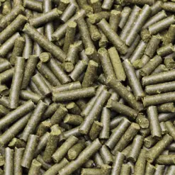 Buy Dennerle Shrimp King Complete Feed, Shrimp King Complete, Dennerle shrimp food sticks, staple food for freshwater dwarf shrimp, shrimp food 100% natural ingredients, sinkable water stable shrimp food, shrimp king complete feeding recommendation, shrimp pellets sticks for aquarium shrimp, Dennerle shrimp king complete India