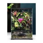 buy MIUS Terrarium Tank, glass terrarium tank India, reptile terrarium enclosure, vivarium tank MIUS, front opening terrarium tank, terrarium tank for frogs geckos, large terrarium enclosure India, tropical plant terrarium tank, MIUS vivarium tank sizes