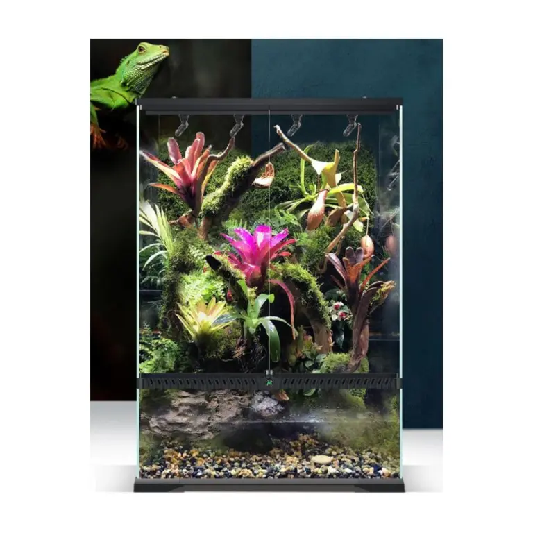 buy MIUS Terrarium Tank, glass terrarium tank India, reptile terrarium enclosure, vivarium tank MIUS, front opening terrarium tank, terrarium tank for frogs geckos, large terrarium enclosure India, tropical plant terrarium tank, MIUS vivarium tank sizes