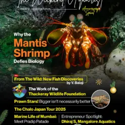 Buy The Weekend Aquarist - December 2025 Edition magazine