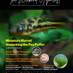 Buy The Weekend Aquarist - April 2025 Edition magazine