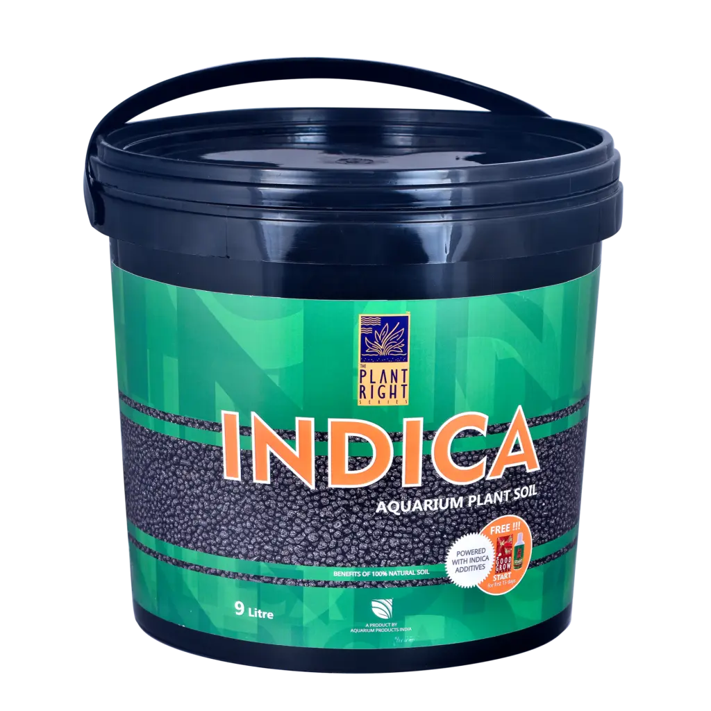 Indica Aqua Soil for Planted Aquariums - aquarium plant soil India, Indica Aqua Soil, planted aquarium substrate, aquascaping soil India, aquatic plant growth substrate, pH lowering aquarium soil, Indian river soil aquarium, nutrient-rich aquarium substrate, long-lasting aquarium soil, no rinse plant soil, aquarium substrate for beginners India, best soil for planted tank India, terrarium substrate, paludarium soil, aquarium products India, soil for lush aquarium plants