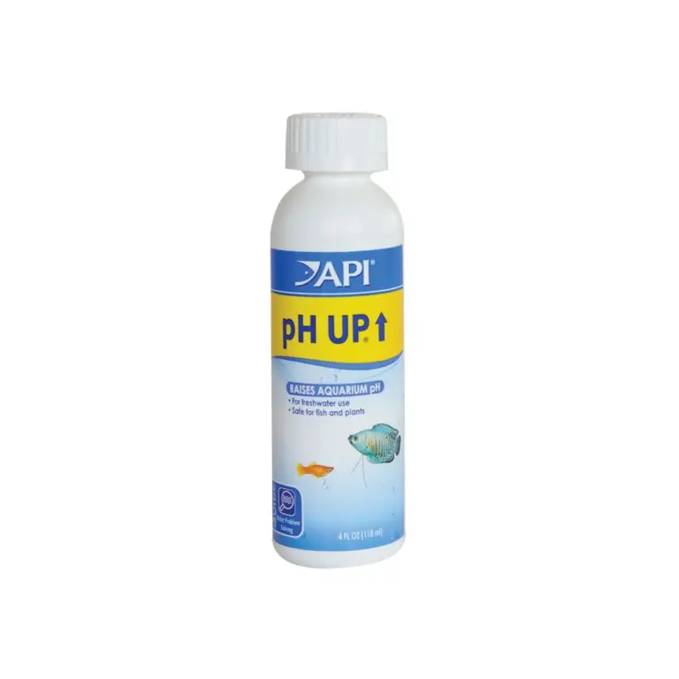 Buy API pH Up 118ml Online India, aquarium pH increaser India, freshwater pH booster solution, API water conditioner price India, raise aquarium pH safely, fish tank alkaline water treatment, API aquarium treatment 118ml, African cichlid pH adjustment, aquarium water chemistry products India
