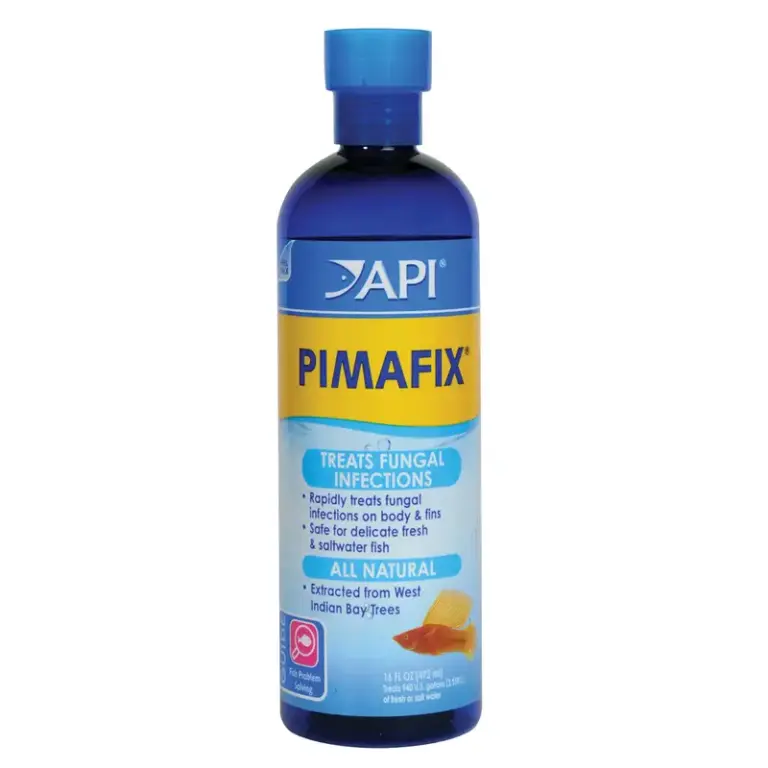 Buy API Pimafix Anti Fungal Treatment Online India, Pimafix fish medicine India, aquarium anti fungal medicine, fish fungus treatment India, API Pimafix 118ml, API Pimafix 237ml, natural fish disease treatment, cotton wool disease treatment aquarium, planted tank fish medication