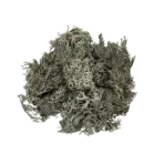 Buy WIO Bits Lichen Mix 50g Online India, aquarium lichen decoration India, aquascaping lichen material, biotope aquarium lichen, paludarium lichen decor, WIO lichen mix, natural aquascape detailing material, terrarium lichen decoration India