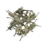 Buy WIO Branches Lichen 100g Online India, aquarium branch lichen decoration India, aquascaping lichen for driftwood, biotope aquarium lichen material, paludarium branch lichen, WIO lichen decoration, natural aquascape wood detailing, terrarium lichen decor India