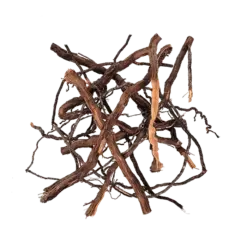 Buy WIO Elder Root Mix 250g Online India, aquarium root decoration India, biotope aquascaping root material, paludarium root decor, natural aquarium root mix, WIO elder root mix, forest riverbank aquascaping materials, decorative aquarium roots India