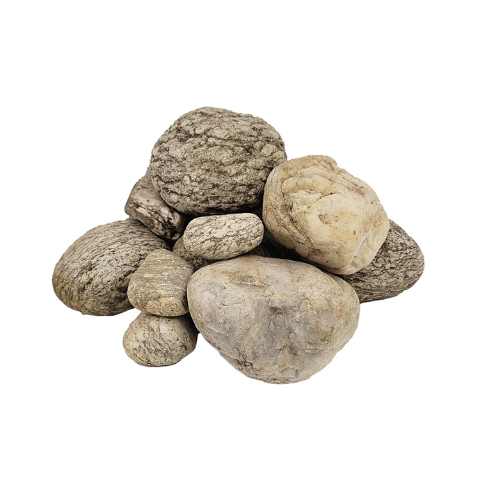 Buy WIO Elderly Nano Boulder 2kg Online India Buy WIO Elderly Nano Boulder 2kg Online India, nano aquascaping boulder India, aged stone aquarium hardscape, WIO elderly boulder nano tank, shrimp aquarium natural rock, nano aquascape boulder stone India, nature style aquarium rocks