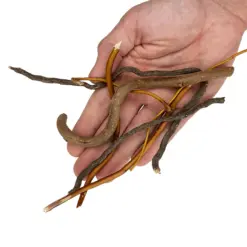 Buy WIO Mix Roots 140g Online India, aquarium root decoration India, mixed root aquascaping material, biotope aquarium root mix, paludarium root decor, WIO mix roots, natural aquascape root detailing, riverbank aquascaping materials