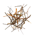 Buy WIO Mix Roots 140g Online India, aquarium root decoration India, mixed root aquascaping material, biotope aquarium root mix, paludarium root decor, WIO mix roots, natural aquascape root detailing, riverbank aquascaping materials