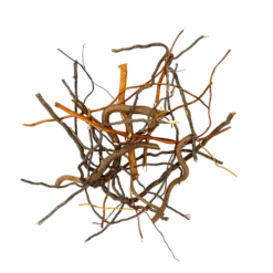 Buy WIO Mix Roots 140g Online India, aquarium root decoration India, mixed root aquascaping material, biotope aquarium root mix, paludarium root decor, WIO mix roots, natural aquascape root detailing, riverbank aquascaping materials