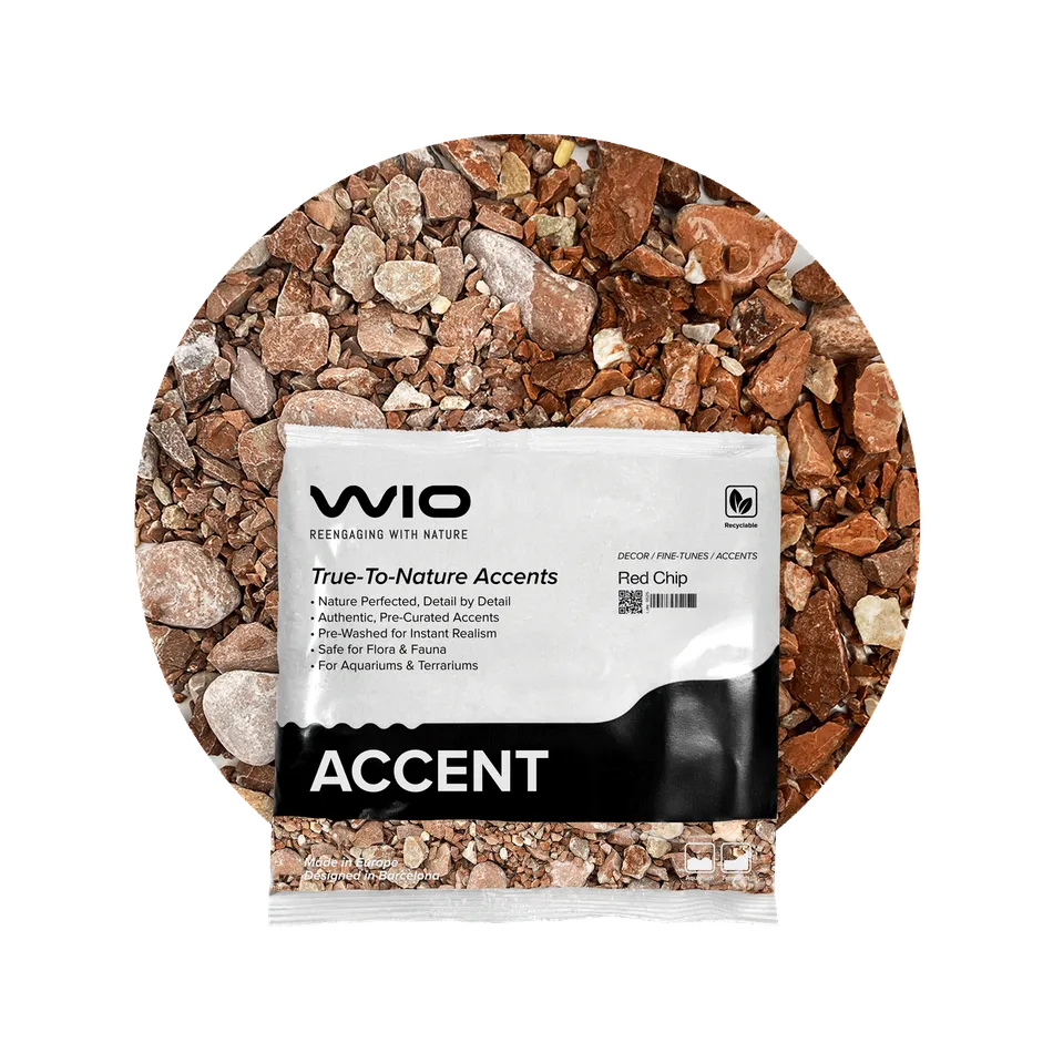 Buy WIO Red Accent Gravel Mix Online India Buy WIO Red Accent Gravel Mix Online India, red aquarium accent gravel India, biotope aquascaping accent substrate, natural red aquarium gravel, WIO red chip 750g, decorative aquarium gravel India, nature aquascape accent stones, freshwater aquarium detailing gravel