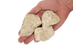Buy WIO White Adder Nano Boulder 2kg Online India, white aquarium boulder nano tank India, nano aquascaping stone white, WIO white adder rock, shrimp aquarium light colour rock, Iwagumi nano boulder India, minimalist aquascape stone nano