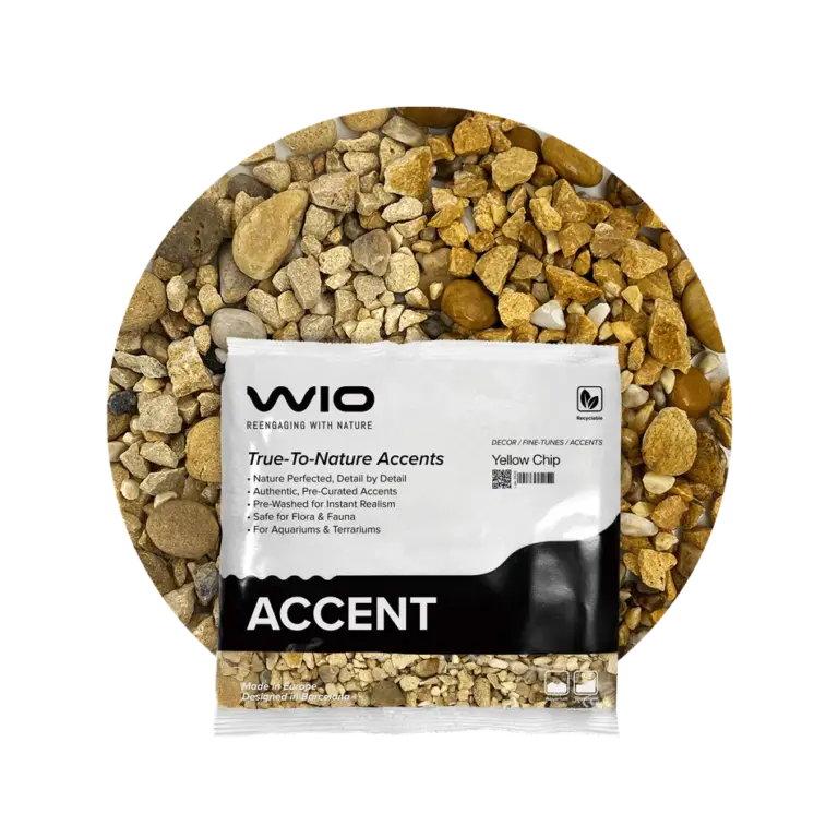 Buy WIO Yellow Accent Gravel Mix Online India, yellow aquarium accent gravel India, biotope aquascaping accent substrate, natural yellow aquarium gravel, WIO yellow chip 750g, decorative aquarium gravel India, nature aquascape accent stones, freshwater aquarium detailing gravel