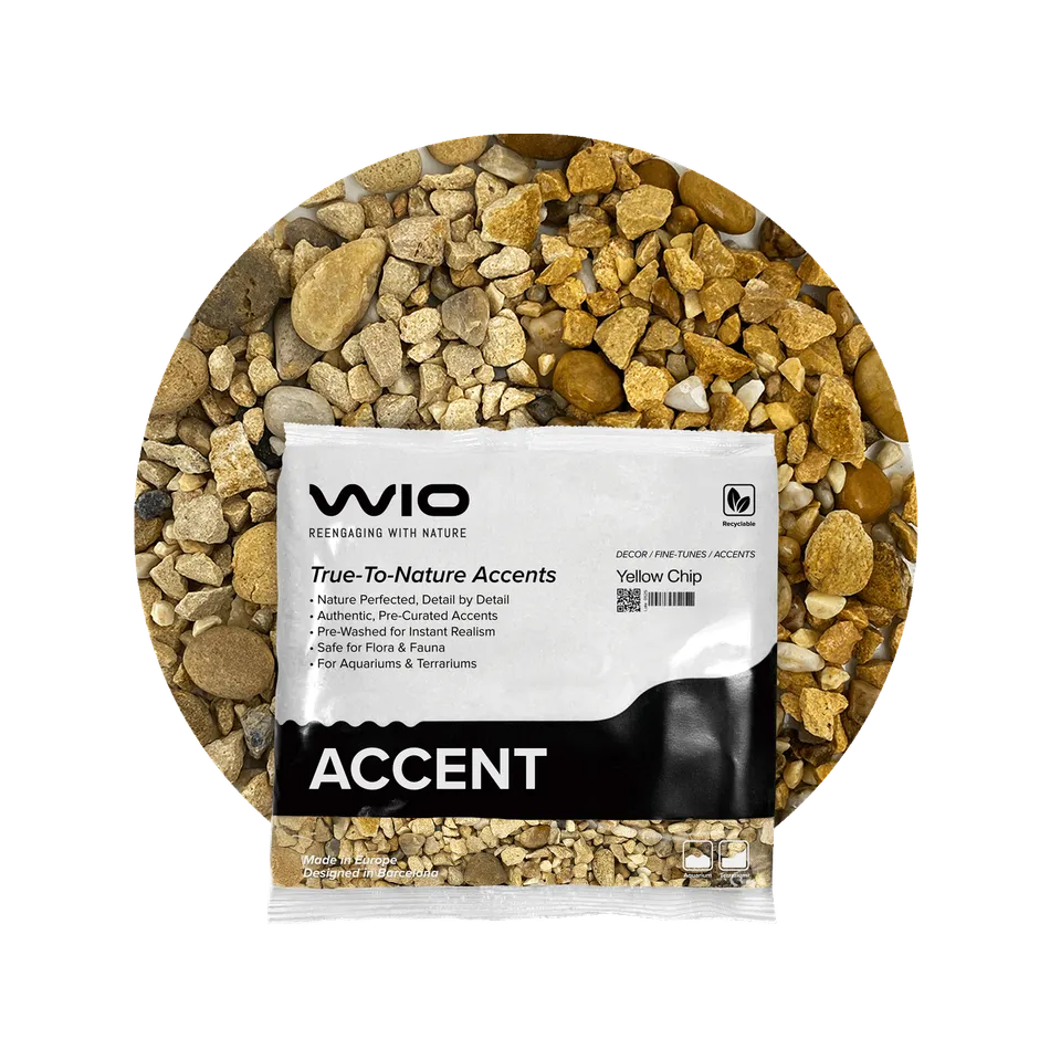 Buy WIO Yellow Accent Gravel Mix Online India Buy WIO Yellow Accent Gravel Mix Online India, yellow aquarium accent gravel India, biotope aquascaping accent substrate, natural yellow aquarium gravel, WIO yellow chip 750g, decorative aquarium gravel India, nature aquascape accent stones, freshwater aquarium detailing gravel