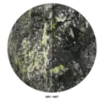 Buy WIO Jade Stone Mix, jade green aquarium stone India, aquascaping jade stone, Iwagumi aquarium stones India, natural green aquascape rock, WIO jade stone set, planted aquarium hardscape stone, premium aquascaping rocks India