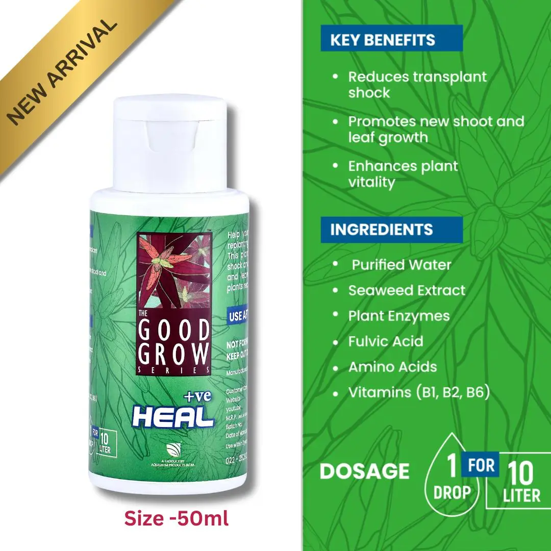The Good Grow Series HEAL 50ml - Image 1 The Good Grow Series HEAL 50ml - aquarium plant recovery, aquatic plant shock treatment, plant growth booster India, aquascape plant enzyme, freshwater plant care, new plant growth aquarium, plant trimming recovery solution, aquarium plant health supplement, aquatic plant vitality enhancer, The Good Grow Series HEAL, 50ml plant supplement, planted tank recovery, plant stress reducer aquarium