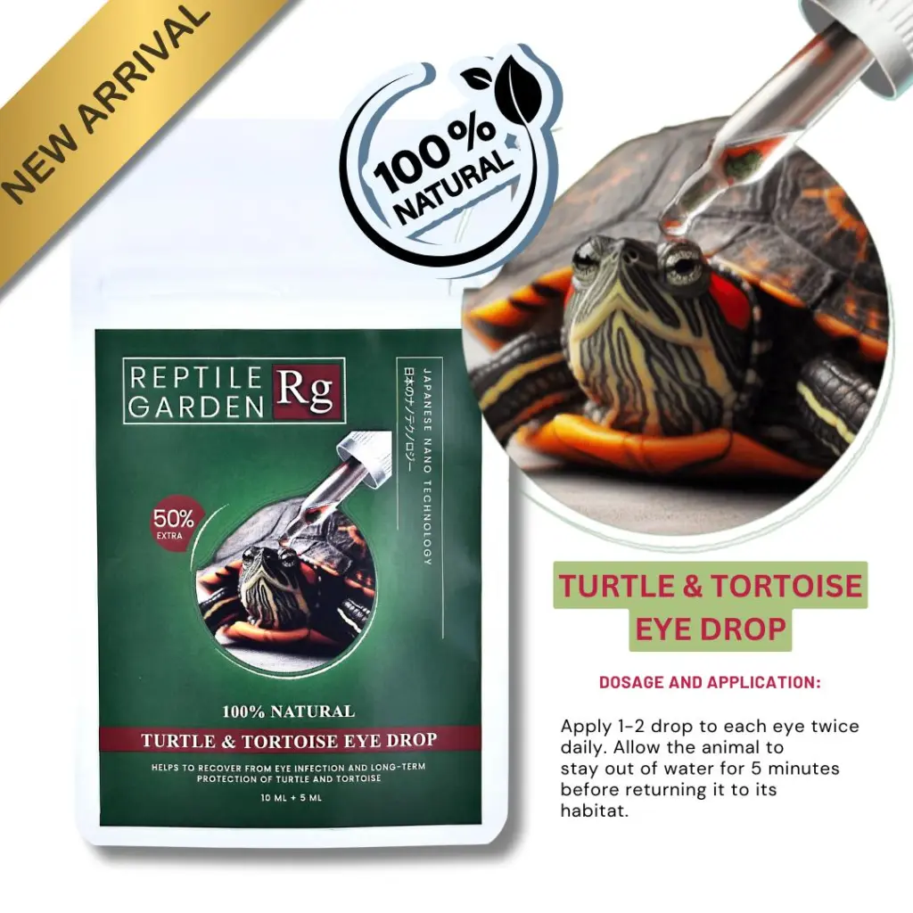 Turtle & Tortoise Eye Drop - turtle eye drop, tortoise eye care, reptile eye drops India, veterinary grade reptile eye medication, eye infection treatment for turtles, lizard eye drop, reptile eye health, aquarium products india eye drop, turtle eye infection remedy, tortoise eye irritation solution, reptile eye care product, reptile eye infection treatment