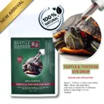 Turtle & Tortoise Eye Drop - turtle eye drop, tortoise eye care, reptile eye drops India, veterinary grade reptile eye medication, eye infection treatment for turtles, lizard eye drop, reptile eye health, aquarium products india eye drop, turtle eye infection remedy, tortoise eye irritation solution, reptile eye care product, reptile eye infection treatment