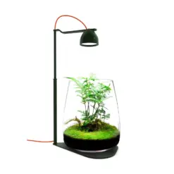 Buy Fzone DROP D10 terrarium light, Fzone D10 aquarium light, Fzone nano terrarium light India, terrarium LED light India, nano aquarium light Fzone, paludarium light India, nano planted tank light India, designer aquarium light India, small tank LED light India, Fzone aquarium lighting