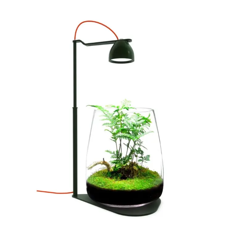 Buy Fzone DROP D10 terrarium light, Fzone D10 aquarium light, Fzone nano terrarium light India, terrarium LED light India, nano aquarium light Fzone, paludarium light India, nano planted tank light India, designer aquarium light India, small tank LED light India, Fzone aquarium lighting