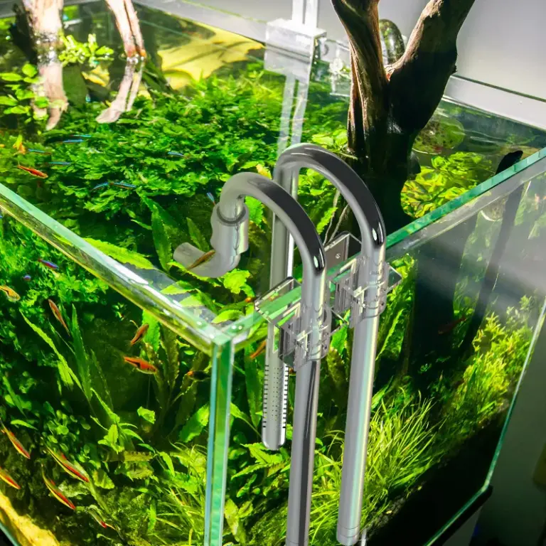 Fzone stainless steel lily pipe, Fzone lily pipe 17mm, stainless steel lily pipe aquarium, aquarium lily pipe India, metal lily pipe for canister filter, 17mm aquarium pipe set, planted tank lily pipes, aquarium inflow outflow pipe set, Fzone aquascaping accessories, aquarium filter pipe kit India