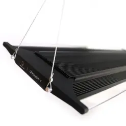 Zetlight QMaven Q6 aquarium light, Zetlight Q6 60 90 120, Zetlight planted tank light India, LED aquarium light for planted tank, full spectrum aquarium light India, Zetlight aquarium lighting India, planted aquarium LED light, aquascaping light India, aquarium light for 60cm 90cm 120cm tank, professional aquarium lighting India