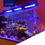 Zetlight QMaven Q6 aquarium light, Zetlight Q6 60 90 120, Zetlight planted tank light India, LED aquarium light for planted tank, full spectrum aquarium light India, Zetlight aquarium lighting India, planted aquarium LED light, aquascaping light India, aquarium light for 60cm 90cm 120cm tank, professional aquarium lighting India
