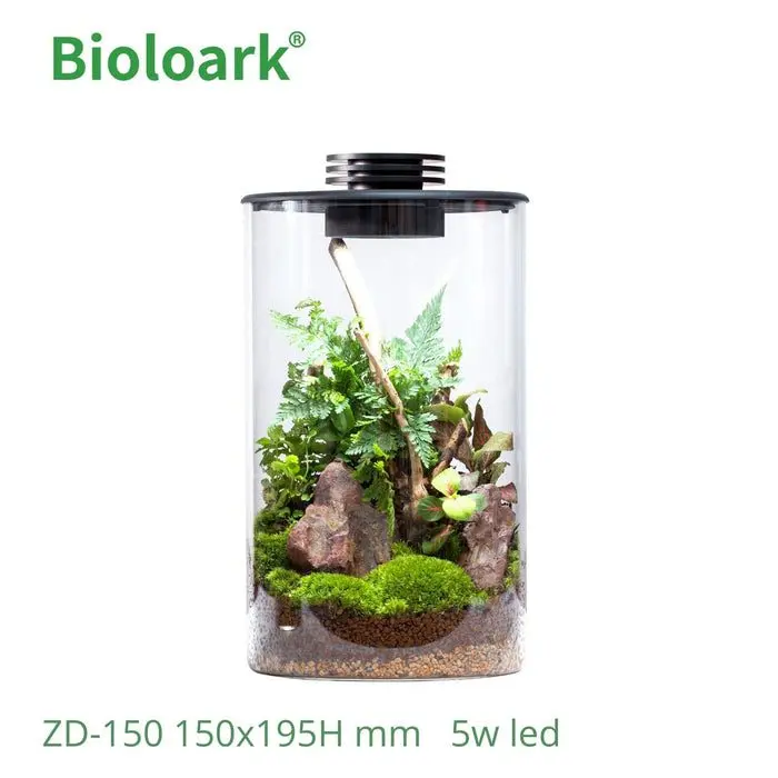 BIOLOARK Bio Bottle Terrarium ZD, BIOLOARK Bio Bottle ZD-150, BIOLOARK Bio Bottle ZD-200, BIOLOARK terrarium India, BioLark Bio Bottle Terrarium, glass nano terrarium, LED terrarium bottle, cylindrical glass terrarium, mini paludarium glass jar, mossarium terrarium India, wabi kusa terrarium, kokedama glass terrarium, desktop terrarium with LED, terrarium for moss plants, orchid terrarium glass bottle, indoor plant terrarium, decorative glass terrarium, nano terrarium with light, bio bottle terrarium, terrarium jar with ventilation