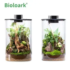 BIOLOARK Bio Bottle Terrarium ZD, BIOLOARK Bio Bottle ZD-150, BIOLOARK Bio Bottle ZD-200, BIOLOARK terrarium India, BioLark Bio Bottle Terrarium, glass nano terrarium, LED terrarium bottle, cylindrical glass terrarium, mini paludarium glass jar, mossarium terrarium India, wabi kusa terrarium, kokedama glass terrarium, desktop terrarium with LED, terrarium for moss plants, orchid terrarium glass bottle, indoor plant terrarium, decorative glass terrarium, nano terrarium with light, bio bottle terrarium, terrarium jar with ventilation