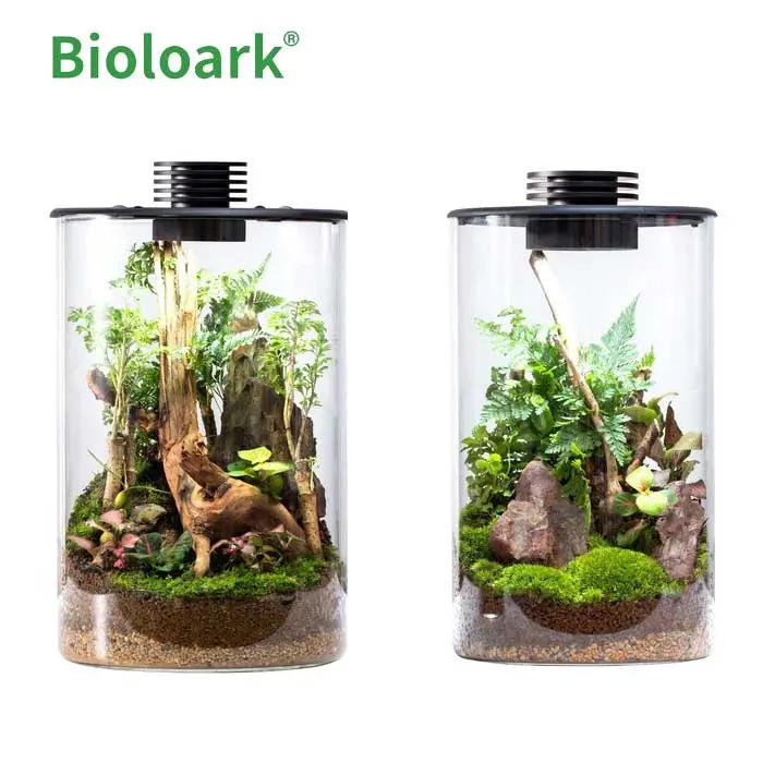 BIOLOARK Bio Bottle Terrarium ZD BIOLOARK Bio Bottle Terrarium ZD, BIOLOARK Bio Bottle ZD-150, BIOLOARK Bio Bottle ZD-200, BIOLOARK terrarium India, BioLark Bio Bottle Terrarium, glass nano terrarium, LED terrarium bottle, cylindrical glass terrarium, mini paludarium glass jar, mossarium terrarium India, wabi kusa terrarium, kokedama glass terrarium, desktop terrarium with LED, terrarium for moss plants, orchid terrarium glass bottle, indoor plant terrarium, decorative glass terrarium, nano terrarium with light, bio bottle terrarium, terrarium jar with ventilation