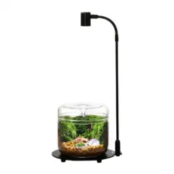 Biolark BioloarK Terrarium Echo Bottle Lamp with Stand DX-03 - biolark lamp, terrarium lamp india, led aquarium light, bioloark echo bottle lamp, aquarium lighting fixture, terrarium illumination, biolark terrarium lamp, aquarium plant light, LED lamp for aquarium, dx-03 lamp, aquarium decor lamp, biolark luji glass cup accessory