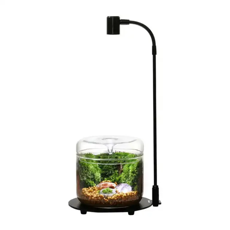 Biolark BioloarK Terrarium Echo Bottle Lamp with Stand DX-03 - biolark lamp, terrarium lamp india, led aquarium light, bioloark echo bottle lamp, aquarium lighting fixture, terrarium illumination, biolark terrarium lamp, aquarium plant light, LED lamp for aquarium, dx-03 lamp, aquarium decor lamp, biolark luji glass cup accessory