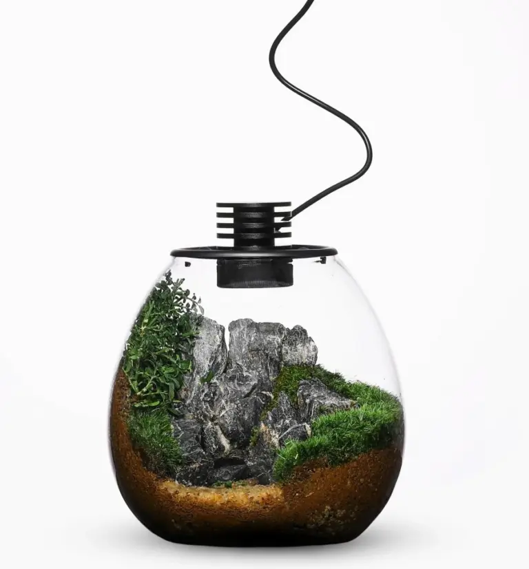 Bioloark Bio Bottle, PD170 nano terrarium, LED nano terrarium, clear glass aquarium, adjustable ventilation terrarium, built‑in LED lighting, nano aquarium for plants, bioloark pd170 price India, aquarium accessories India, indoor garden terrarium