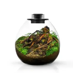 nano terrarium, bioloark pd210, clear glass terrarium, LED lit aquarium container, compact biotope aquarium, nano aquarium tank, LED lighting terrarium, aquarium plant habitat, nano glass terrarium, aquarium accessories India