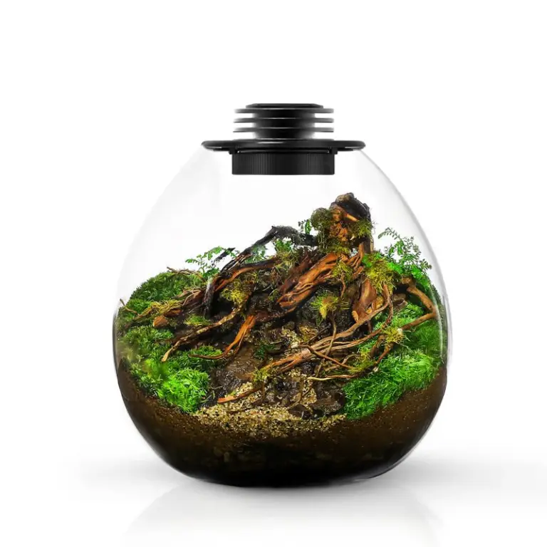 nano terrarium, bioloark pd210, clear glass terrarium, LED lit aquarium container, compact biotope aquarium, nano aquarium tank, LED lighting terrarium, aquarium plant habitat, nano glass terrarium, aquarium accessories India